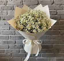Букет цветов из:  Ромашки #REPLACE_PRED# Нартан