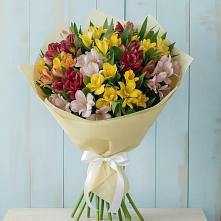 Букет цветов из:  Альстромерии в Нартан