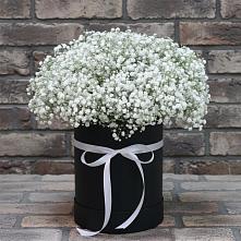 Цветочная композиция из Гипсофила в шляпной коробке в Нартан