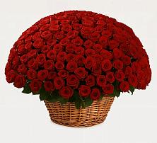 Премиум букет из: Розы в Нартан